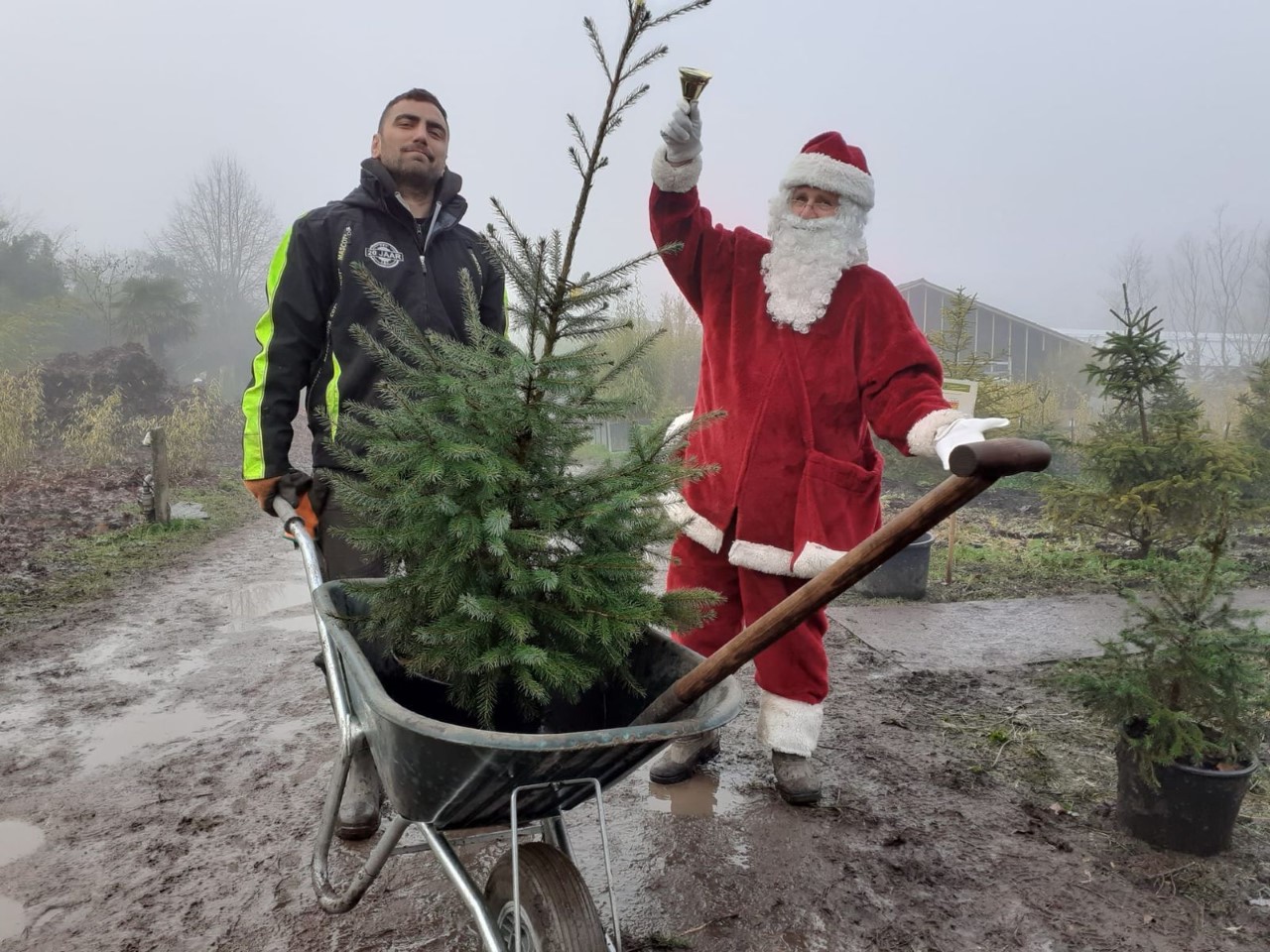 Adopteer een Kerstboom Jutter Hofgeest